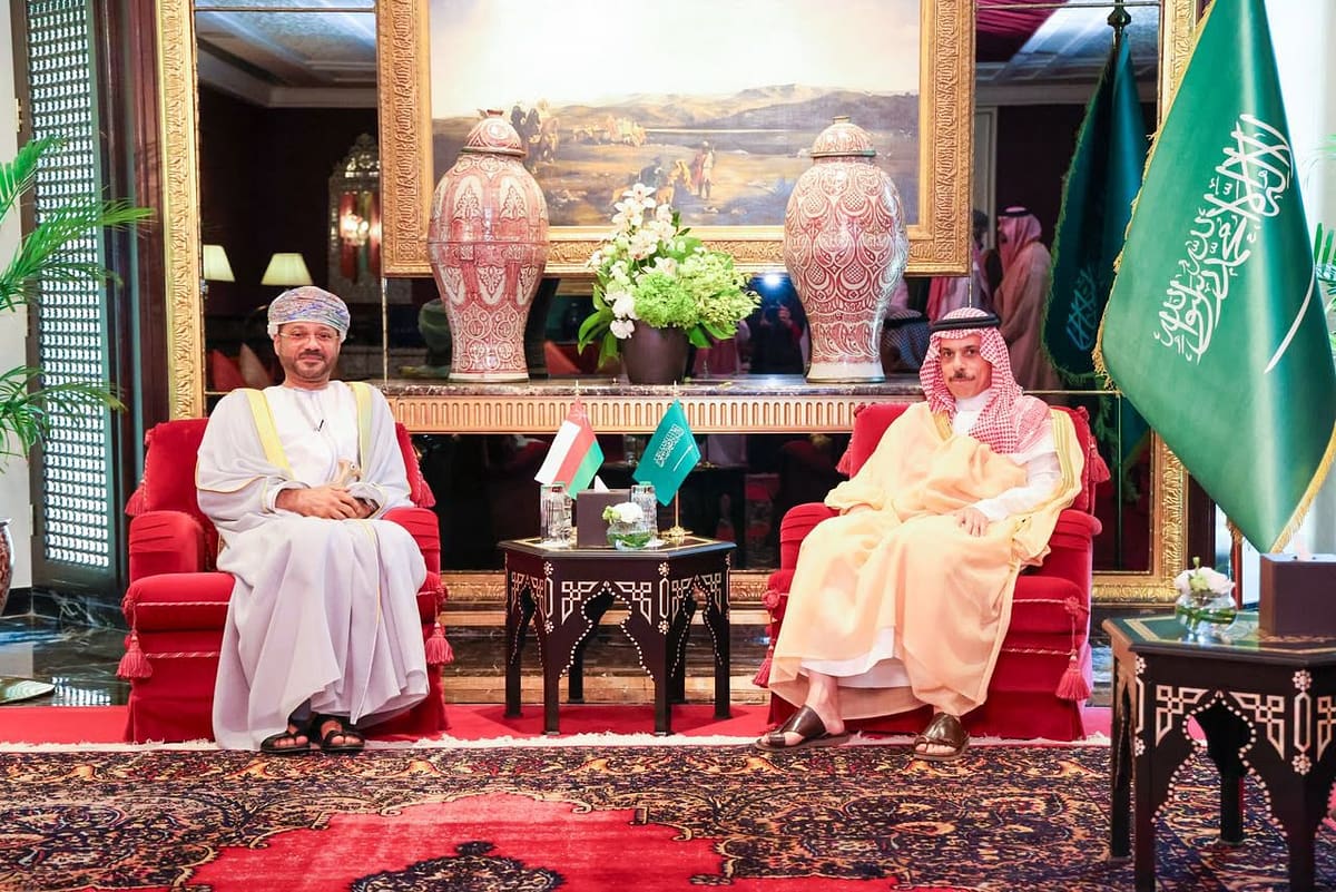 Minister meets Saudi counterpart in Manama