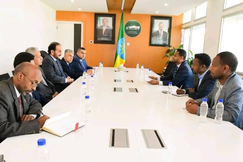 Political Undersecretary holds consultations with Ethiopian ministers