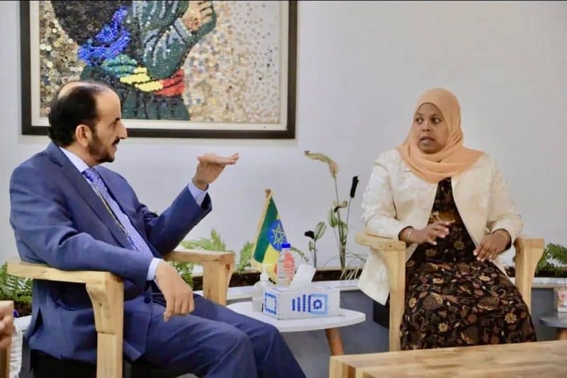 Political Undersecretary holds consultations with Ethiopian ministers