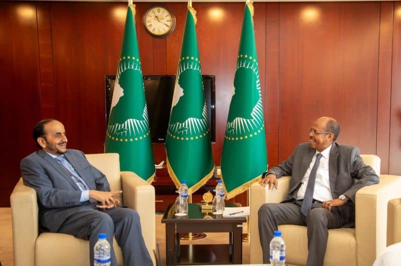 AU Commission Chairperson receives Political Undersecretary