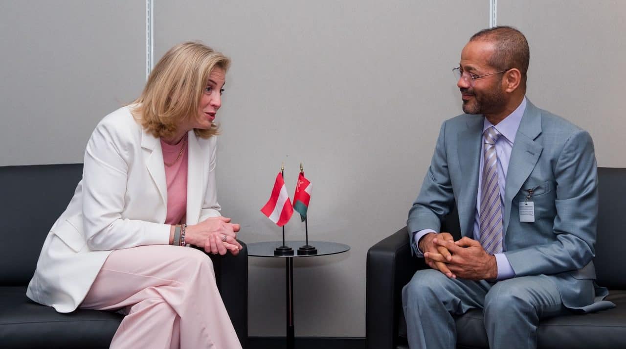 Minister meets counterparts from Hungary, Algeria and Austria in New York