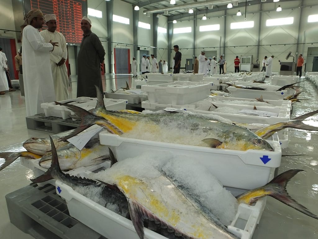 1.9 مليار ريال عُماني إجمالي الاستثمارات المنفذة بقطاعات الأمن الغذائي خلال الخطة الخمسية العاشرة