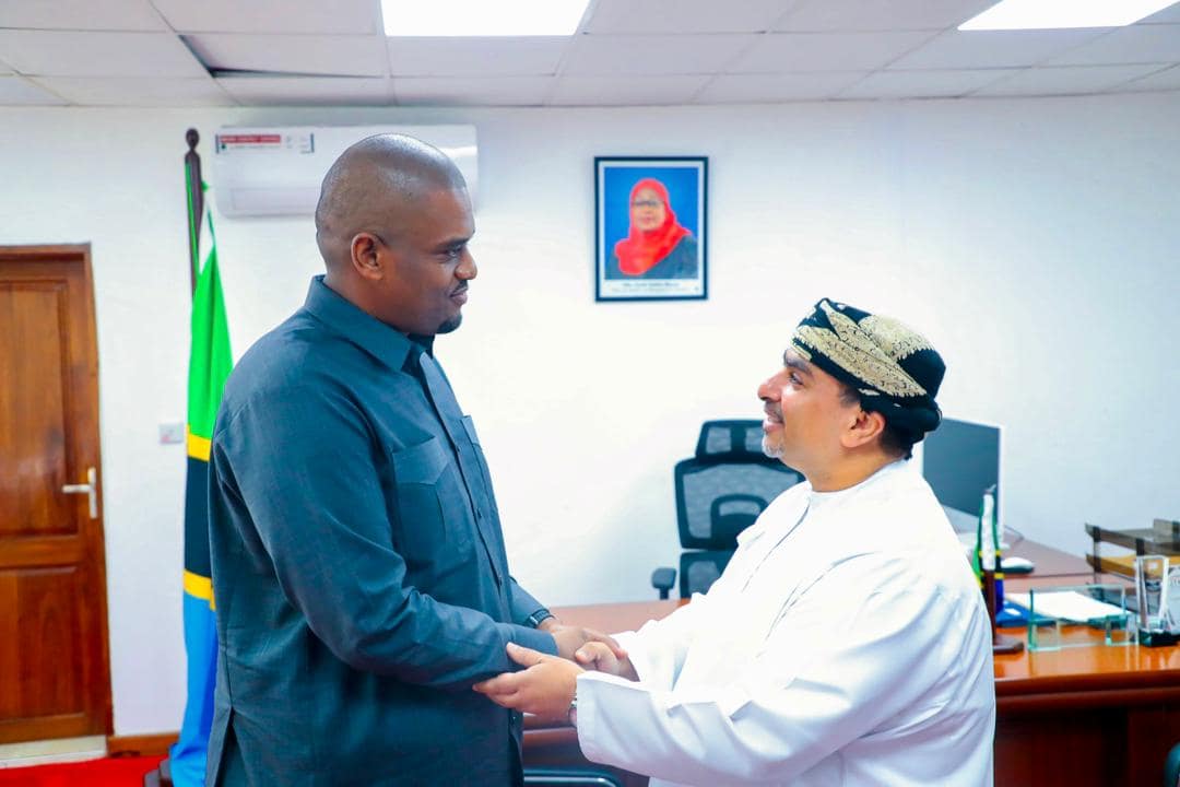 Tanzanian Energy Minister meets Ambassador