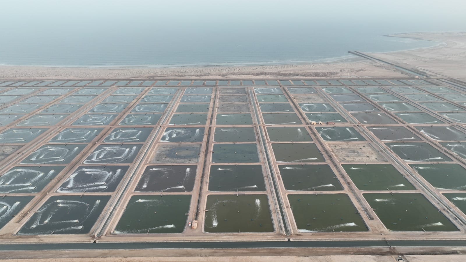 349 مليون ريال عُماني إجماليُّ الاستثمارات لقطاع الاستزراع السمكي في سلطنة عُمان