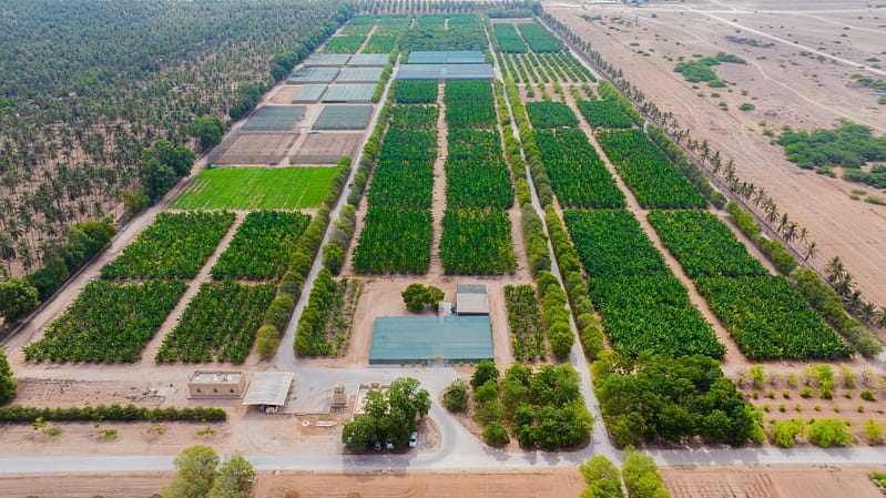 100 national projects and achievements since launch of Oman Vision 2040