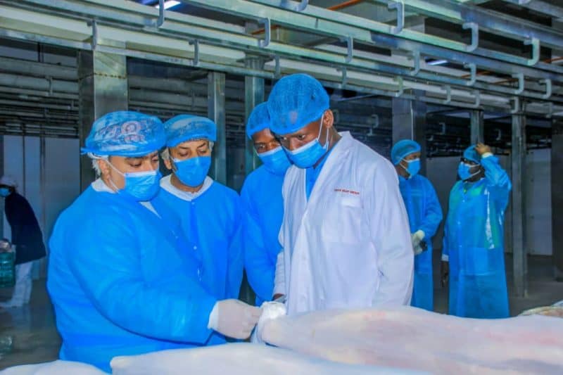 Tanzania: Ambassador visits meat export company