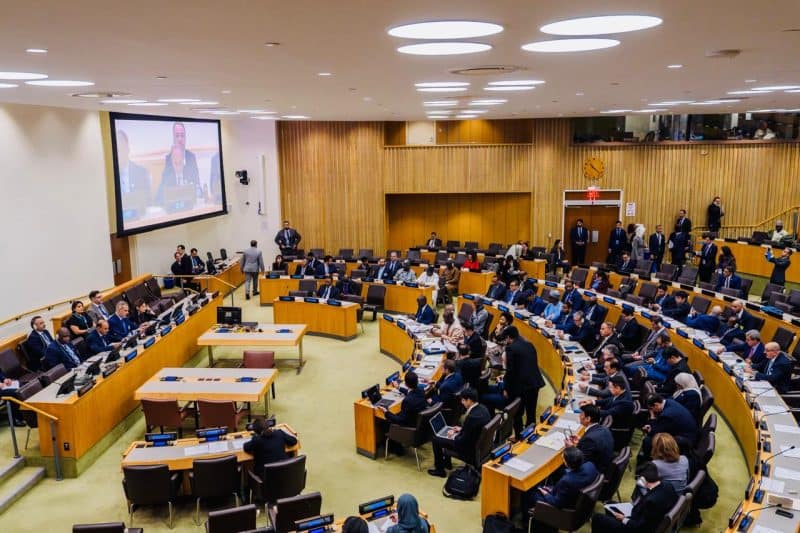 Minister at International Conference on Al Hol Camp in New York