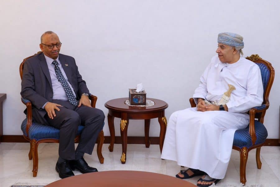Undersecretary for administrative and financial affairs receives Sudanese Ambassador