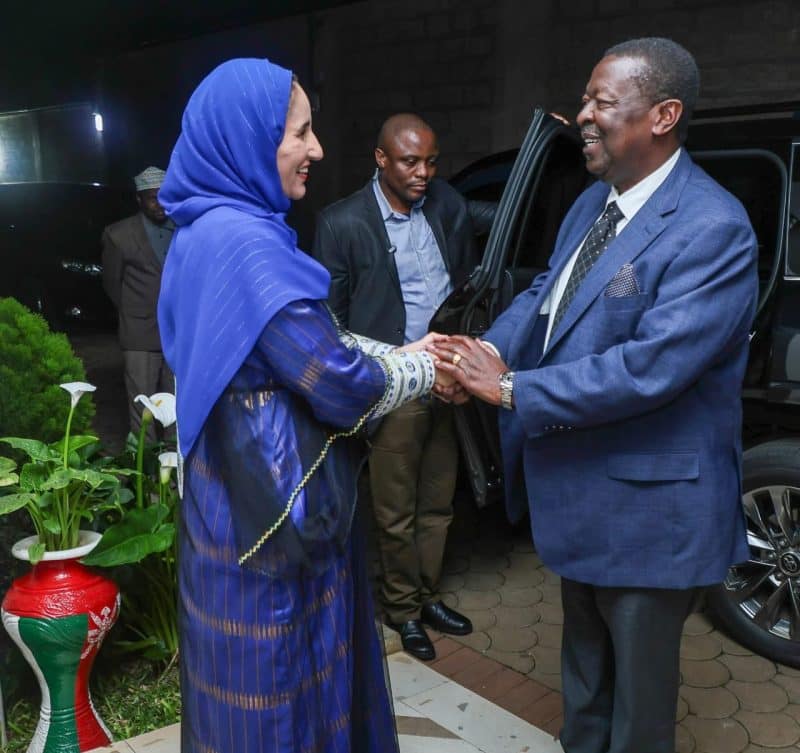 Kenya: Ambassador hosts dinner for Foreign Minister