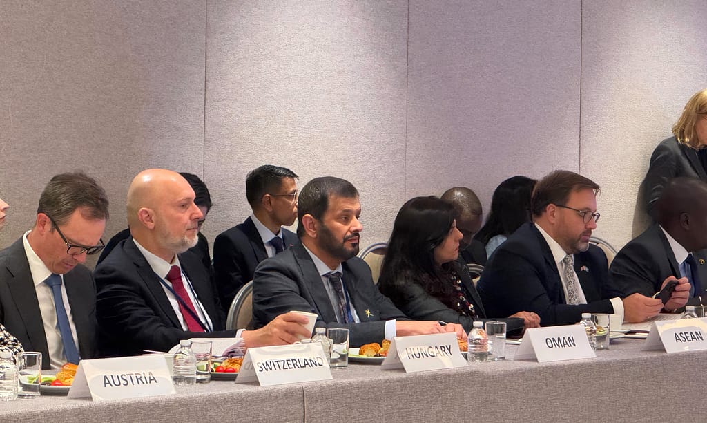 Meeting of Friends of Mediation at UN