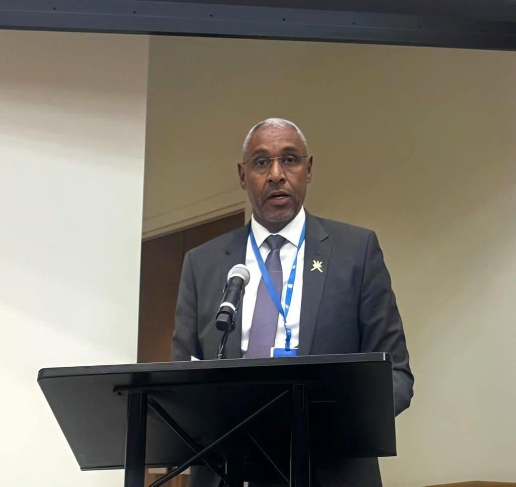 Oman at pandemic prevention meeting in New York
