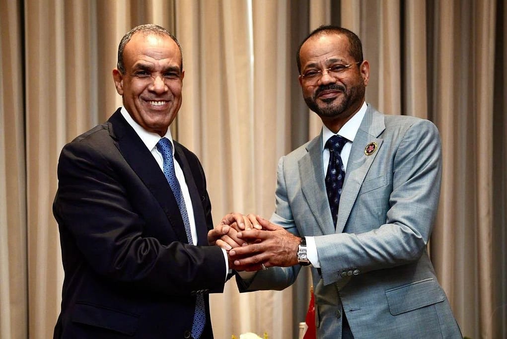 Minister meets Egyptian counterpart in Manila