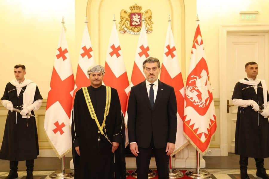 Ambassador presents credentials to President of Georgia