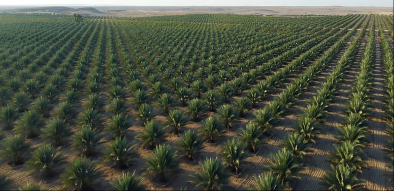 1.9 مليار ريال عُماني إجمالي الاستثمارات المنفذة بقطاعات الأمن الغذائي خلال الخطة الخمسية العاشرة