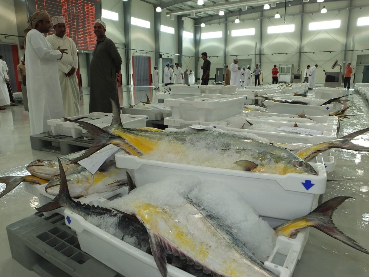 OMR 1.9 Billion Total Investments Implemented in Food Security Sectors